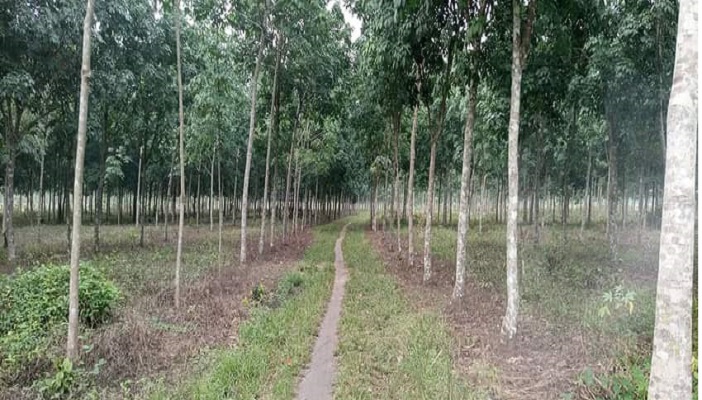 importance of agricultural ecology