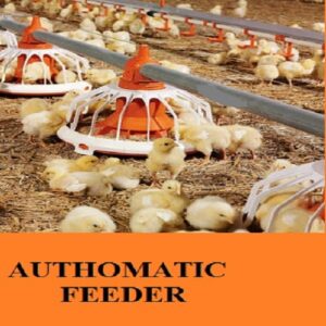 poultry feeder