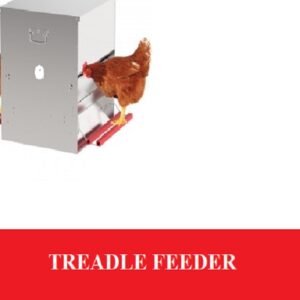 poultry feeder