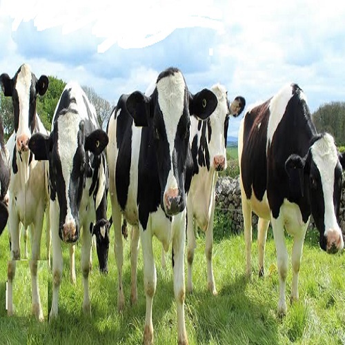 Career Opportunities in Animal Science