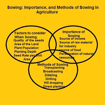 Sowing