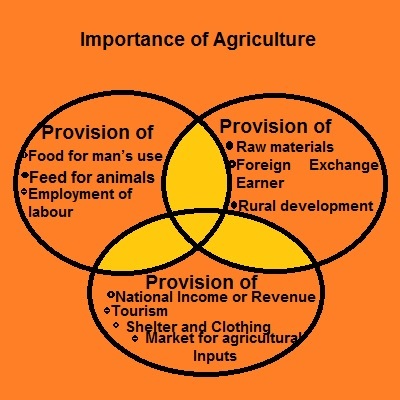 Importance of Agriculture