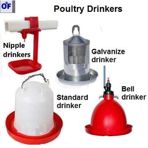 Poultry Drinkers