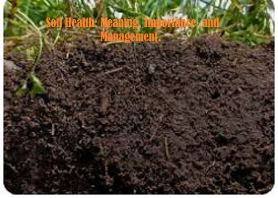 soil health